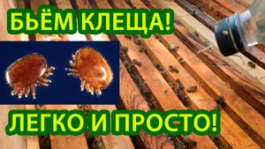 ПРОСТЕЙШАЯ ОБРАБОТКА ОТ КЛЕЩА ВАРОА!!!
