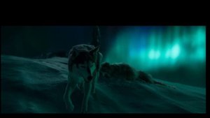 Buck vs Spitz || The call of wild ||2020