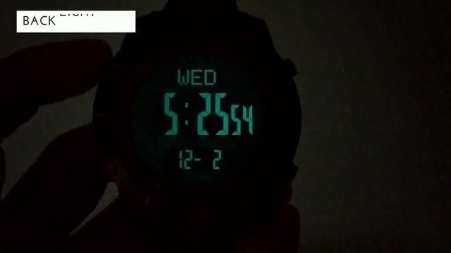 SKMEI 1354 Pedometer, Compass Watch - Review, Setup