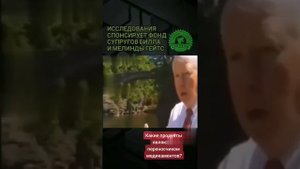 Что означает логотип лягушка ?