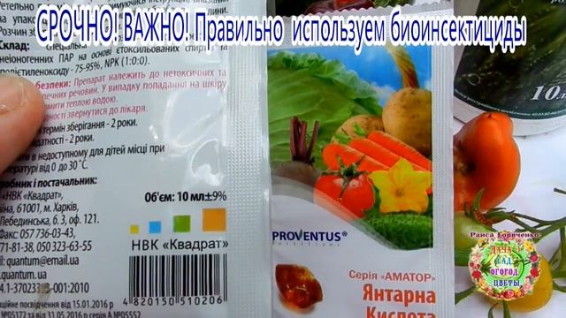 СРОЧНО! ВАЖНО! Правильно используем биоинсектициды смотреть онлайн