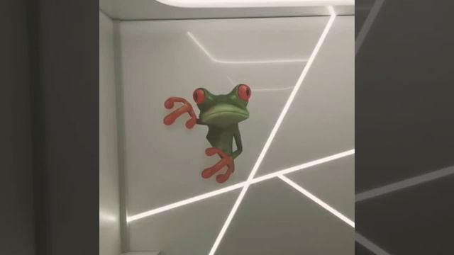 Натяжные потолки в калининграде смотреть онлайн