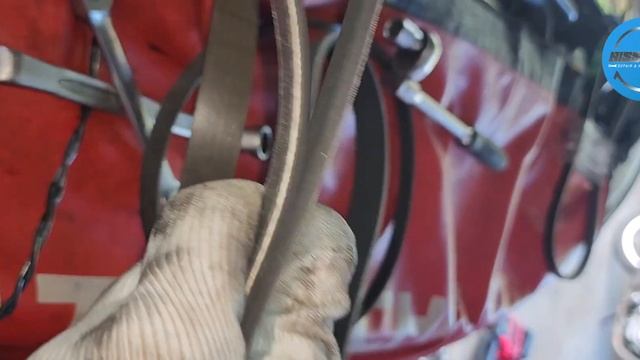 Procedure how to replace belt Nissan navara,nissan terra and Nv350 Yd25 Engine смотреть онлайн