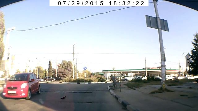 Чёткий голубь смотреть онлайн