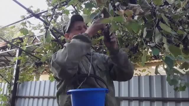 Как Готовить Вино. Супер Рецепт Приготовления. Такого Вы Еще Не Видели. смотреть онлайн