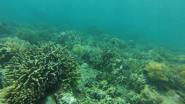 Вьетнам впервые 2017 смотреть онлайн