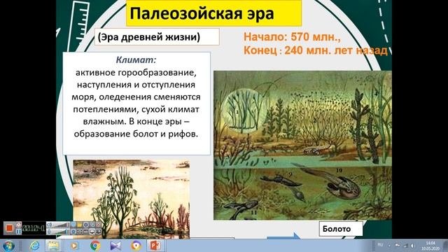 Биология: Развитие жизни на Земле.