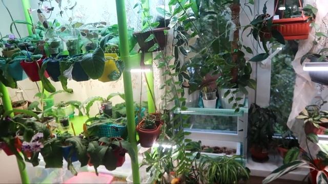 Цветочная комната готова! смотреть онлайн