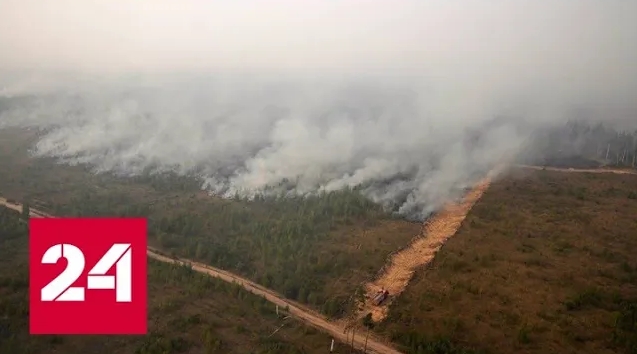 Правительству поручено продумать варианты помощи пострадавшим от лесных пожаров - Россия 24
