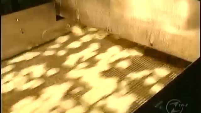 Comment c'est fait: les chips смотреть онлайн