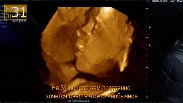 31 неделя беременности. Развитие плода. УЗИ в 3D. Что чувствует беременная. Как выглядит ребенок