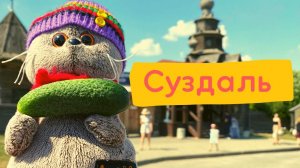 Однажды в Суздале. Владимирская область.