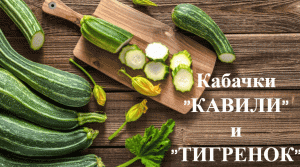 Какой на вкус кабачок "Тигренок". какой на вкус кабачок "Кавили"