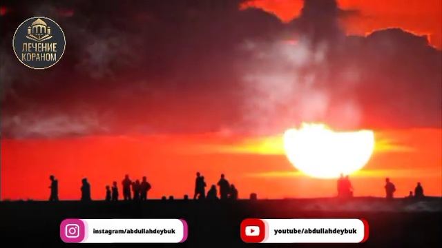 Лечение Кораном от джиннов. ЛЕЧЕНИЕ КОЛДОВСТВА С ДЕПРЕССИЕЙ. #abdullahdeybuk смотреть онлайн