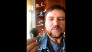 Афганский скворец   священная майна Арчи1