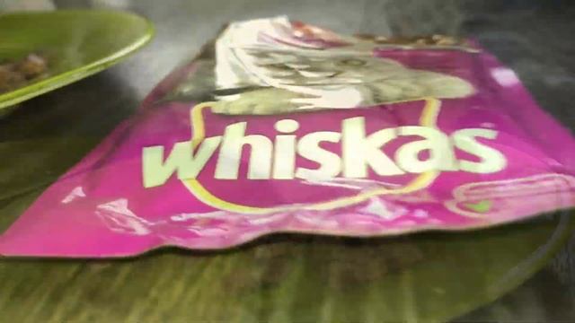 PET FOOD BATTLE ? WHISKAS vs. FELIX ? Which one does CAT VISKAS take? смотреть онлайн