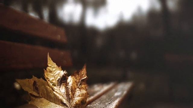 Из города уходит осень читает Наташа Черноусова, стихи Галины Пятисотских смотреть онлайн