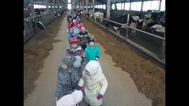 Здорово, корова! смотреть онлайн