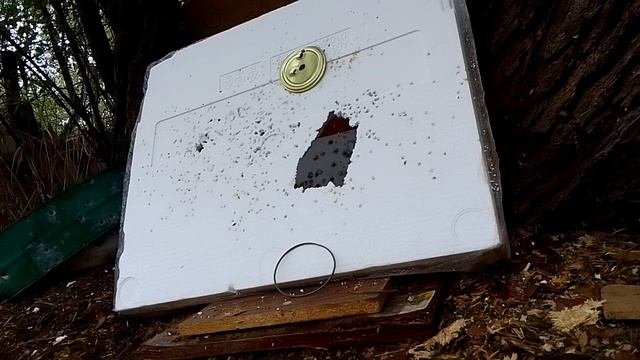 Хатсан Альфа на кучу пружина 130 , 25 м .