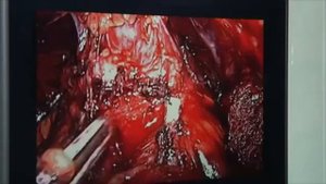 Галлямов Эдуард Абдулхаевич провел мастер класс в Благовещенске