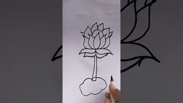 Lotus flower drawing #short