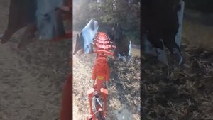 Вспашка плугом перевертышем!