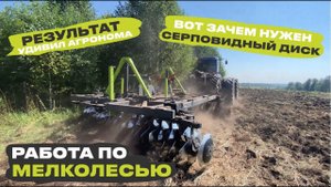 Как правильно вводить залежные земли в оборот с БДТ-5 VELES. Высокий березняк.