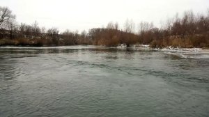Река Сал  Большая Мартыновка