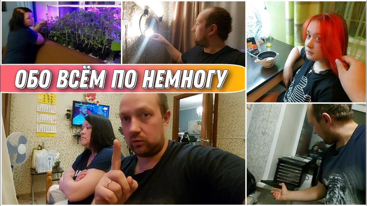 ВЛОГ! Что у нас новенького/Наши покупочки/Немного о рассаде/У всех новые причёски и даже у АРЧИКА