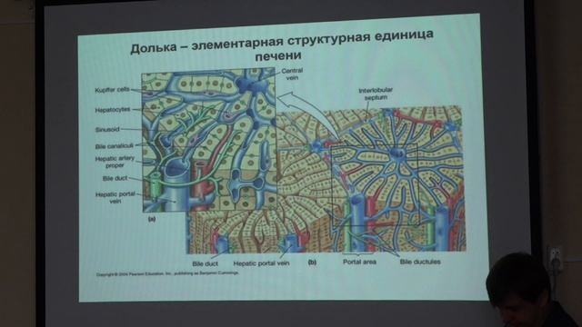 Манских В. Н. - Патология экспериментальных животных - Что такое патология?