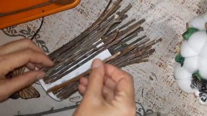 Новогодние композиции из нобилиса.