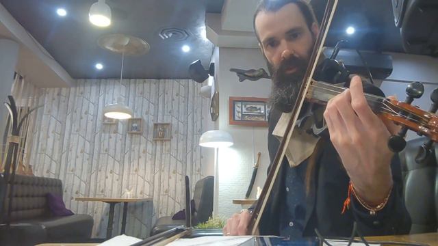 513 Титаник Селин Дион кавер на скрипке my heart will go on Celine Dion Titanic violin cover Kosta