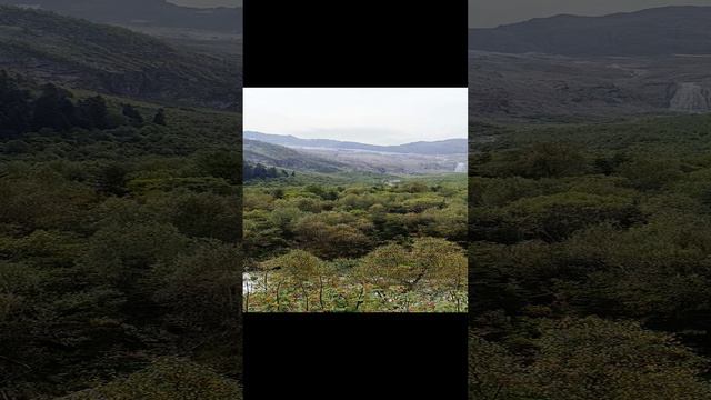 Домбай летом смотреть онлайн