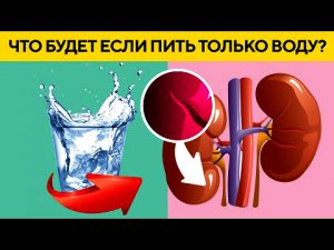 Вот Что Произойдет с ТЕЛОМ, Если Пить Только ВОДУ.mp4