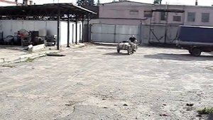 Мотоцикл БМВ Р-75