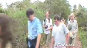 Подводный и наземный мир Галапагосских островов.wmv