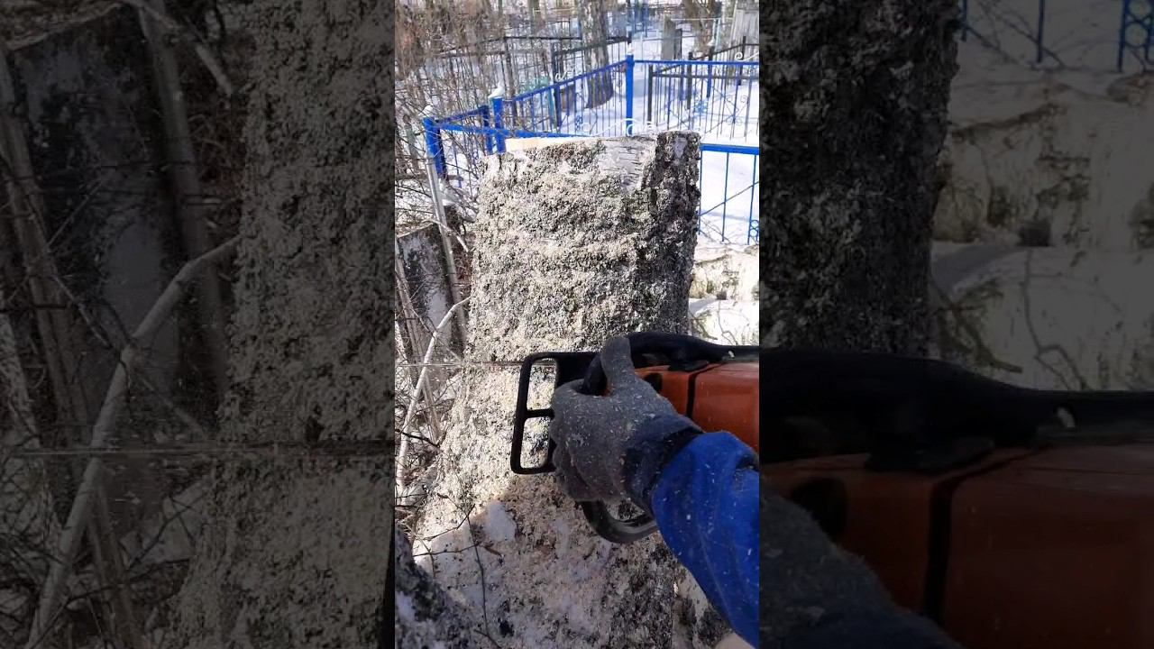 Глянь Чо делает... #winter смотреть онлайн