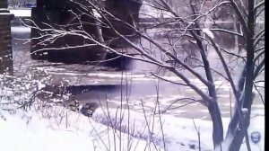 Спасли утопающего. Смелый поступок