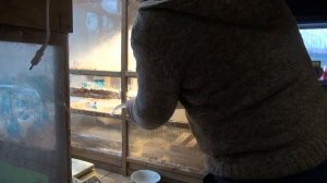 Черная львинка, появились первые мухи.