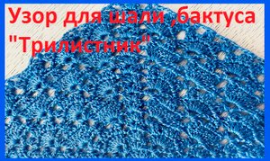 Узор для шали ,бактуса трилистник вязание крючком.