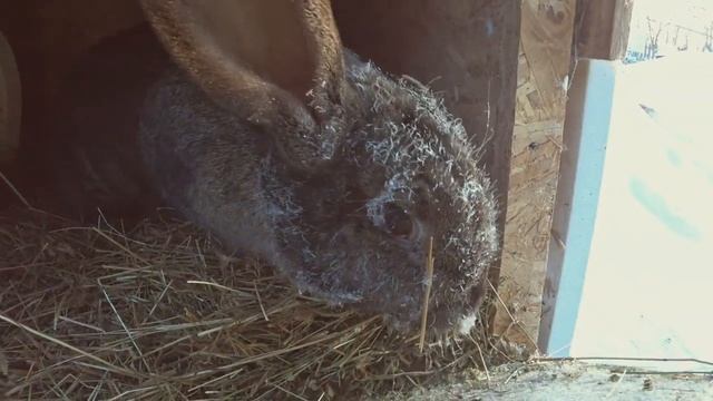 Эстафета 4 на 12 (_) для 12 каналов смотреть онлайн