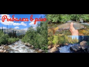 Хариус | Нахлыст | Нимфы | Кузнецкий Алатау