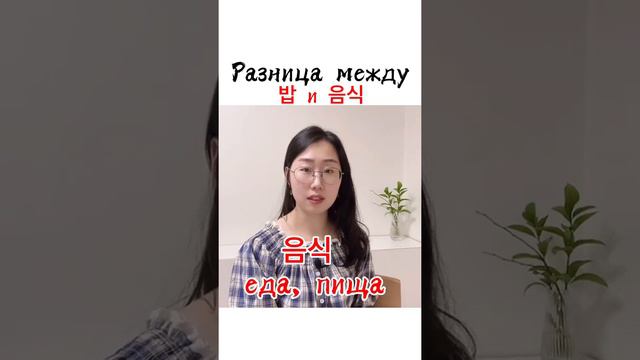 Разница между 밥 и 음식 🍱 смотреть онлайн
