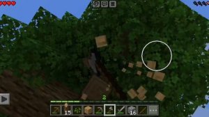 НОВОЕ ВЫЖЕВАНИЕ В МАЙНКРАФТ