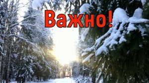 20 января Иванов День. Что нельзя делать 20 января. Народные традиции и приметы и суеверия