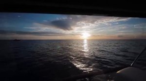 Обзор катера Aquador 35 AQ - Яркий представитель своего стиля