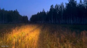 Охота на Сибирскую косулю