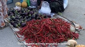 Север Ирана - Жизнь местных вдоль Каспийского моря. Часть 2