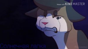 •|•Коты Воители Клип Пепелица •|•∆× КАК ТАКОЕ МОЖЕТ БЫТЬ×∆