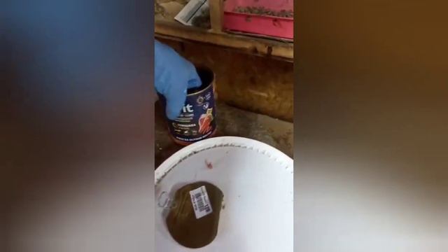 Поездка в Москву состоялась...Физическая помощь приюту очень нужна 😞😞😞 смотреть онлайн